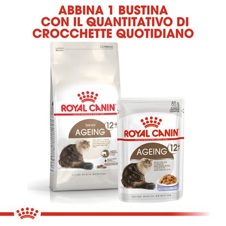 ROYAL CANIN Cat Ageing Sterilised 12+ - Crocchette per gatti sterilizzati - 400g 3