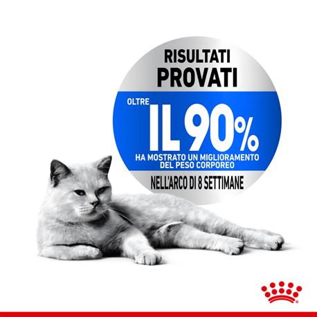 ROYAL CANIN Cat Light Weight Care - Alimento secco per gatti - 8kg 2