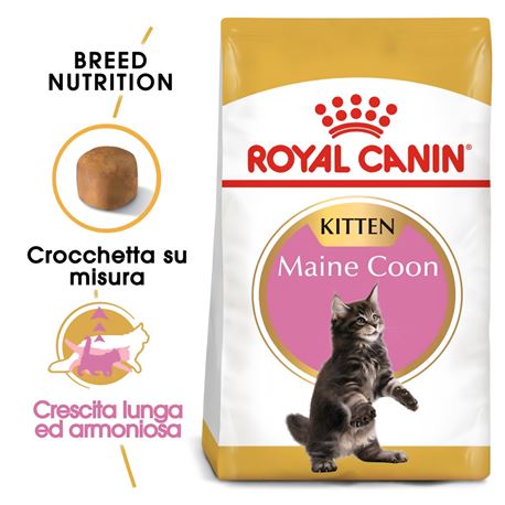 ROYAL CANIN Maine Coon Kitten - 2x2kg 2