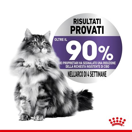 ROYAL CANIN Cat Appetite Control Care Sterilised - Alimento secco per gatti - 2x2kg 2