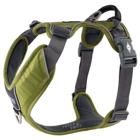 DOG Copenhagen - Imbragatura Comfort Walk Pro - XL - Verde 1