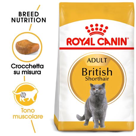 ROYAL CANIN British Shorthair Adult - Cibo secco per gatti - 2kg 2