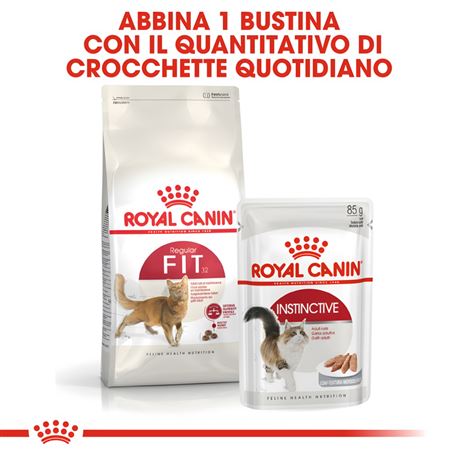 ROYAL CANIN Regular Fit 32 - Crocchette per gatti - 2kg 3