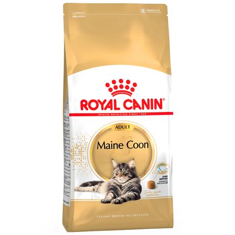 ROYAL CANIN Maine Coon Adult - Crocchette per gatti - 4kg