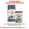 ROYAL CANIN Cat Digestive Care - Alimento secco per gatti - 400g gallery 3