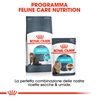 ROYAL CANIN Cat Urinary Care - Alimento secco per gatti - 10kg gallery 3