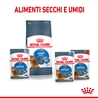 ROYAL CANIN Cat Light Weight Care - Alimento secco per gatti - 2x1,5kg gallery 3