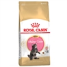 ROYAL CANIN Maine Coon Kitten - 2kg gallery 1