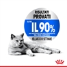 ROYAL CANIN Cat Light Weight Care - Alimento secco per gatti - 2x1,5kg gallery 2